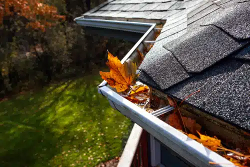 Gutter Cleaning